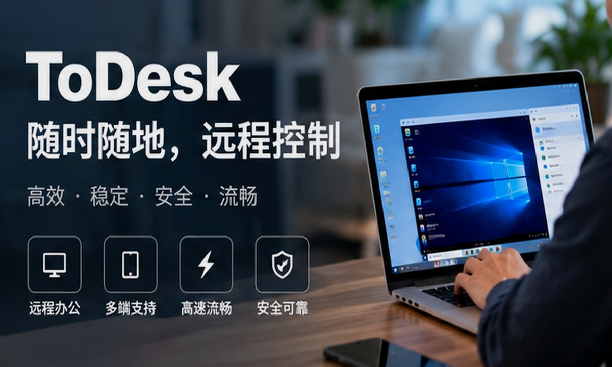todesk