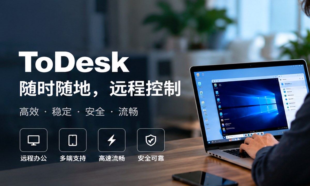 todesk