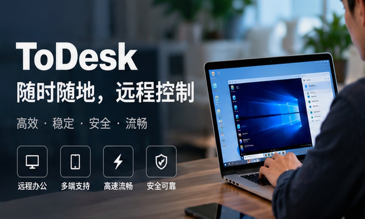 todesk